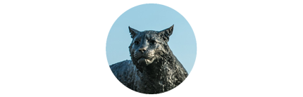 UNH Wildcat Sculpture